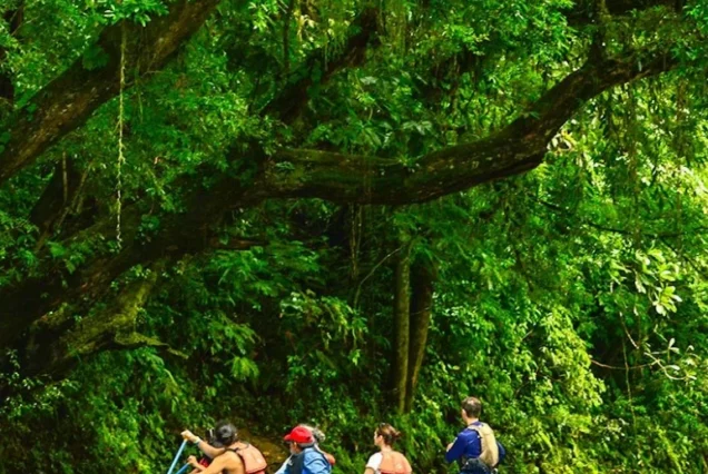 Safari Tour by Raft in Peñas Blancas River
